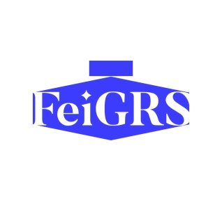 第3类商标转让,FEIGRS