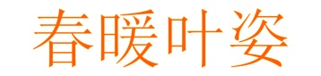 第24类商标转让,春暖叶姿