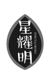 星耀明商标图