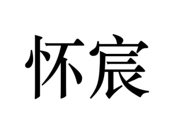 怀宸商标图