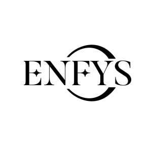 ENFYS商标图