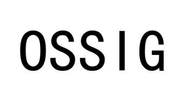 OSSIG商标图