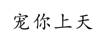 宠你上天商标图