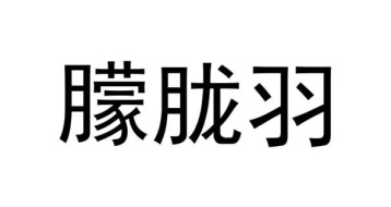朦胧羽商标图