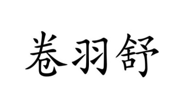 卷羽舒商标图
