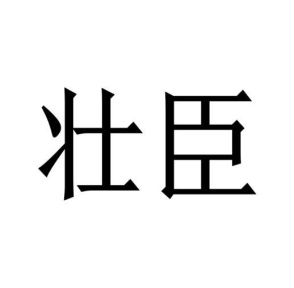 壮臣商标图