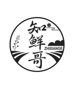 知鲜哥ZHI XIAN GE商标图
