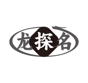 龙探名商标图