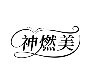 神燃美商标图