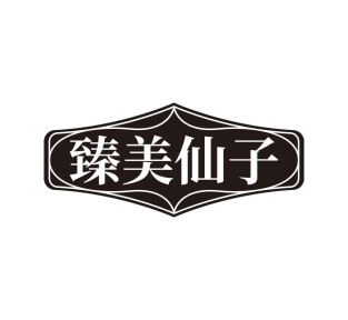 臻美仙子商标图