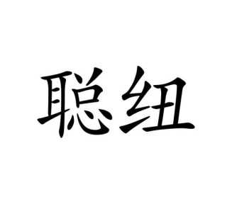 聪纽商标图