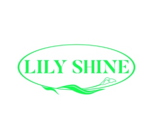 第9类科技仪器-LILY SHINE商标转让