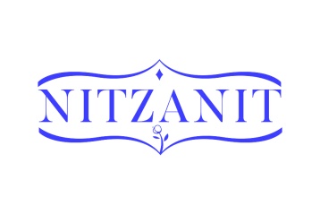第18类皮革皮具-NITZANIT商标转让