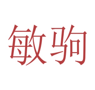 音像设备商标转让