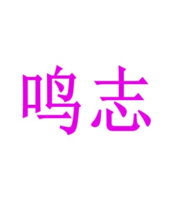鼓（乐器）商标转让