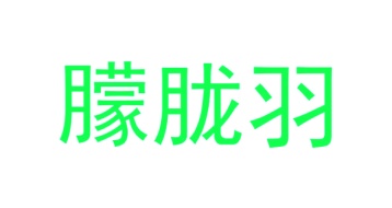 毡制品商标转让