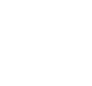 第9类科技仪器-电驰鲸商标转让