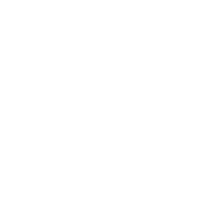 第9类科技仪器-传奇鸟商标转让